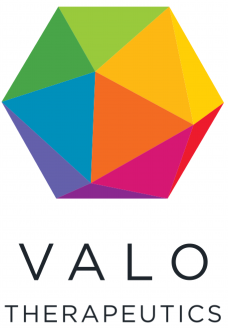 VALO_logo_RGB_solid background_crop